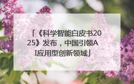 《科学智能白皮书2025》发布，中国引领AI应用型创新领域