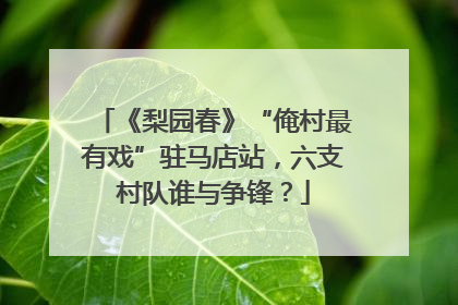 《梨园春》“俺村最有戏”驻马店站，六支村队谁与争锋？
