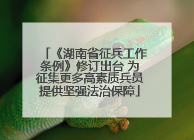 《湖南省征兵工作条例》修订出台 为征集更多高素质兵员提供坚强法治保障