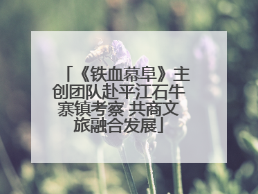 《铁血幕阜》主创团队赴平江石牛寨镇考察 共商文旅融合发展