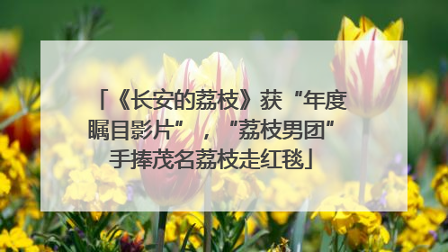 《长安的荔枝》获“年度瞩目影片”，“荔枝男团”手捧茂名荔枝走红毯