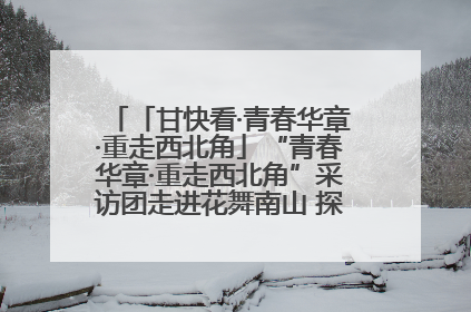 「甘快看·青春华章·重走西北角」“青春华章·重走西北角”采访团走进花舞南山 探寻天水乡村振兴之路