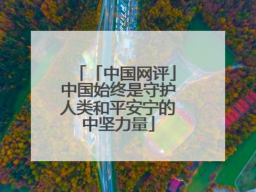 「中国网评」中国始终是守护人类和平安宁的中坚力量