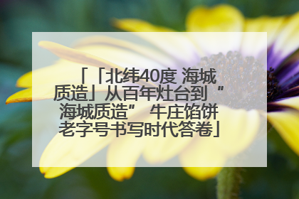 「北纬40度 海城质造」从百年灶台到“海城质造” 牛庄馅饼老字号书写时代答卷
