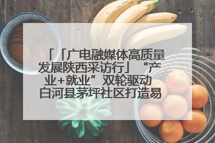 「广电融媒体高质量发展陕西采访行」“产业+就业”双轮驱动 白河县茅坪社区打造易地搬迁后扶新样本