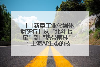「新型工业化媒体调研行」从“北斗七星”到“热带雨林”：上海AI生态的技术商业共生密码