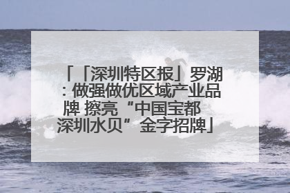 「深圳特区报」罗湖：做强做优区域产业品牌 擦亮“中国宝都 深圳水贝”金字招牌