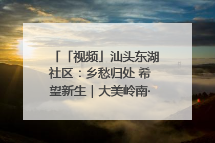 「视频」汕头东湖社区：乡愁归处 希望新生｜大美岭南·百村焕新记