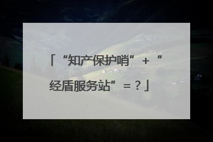 “知产保护哨”+“经盾服务站”=？
