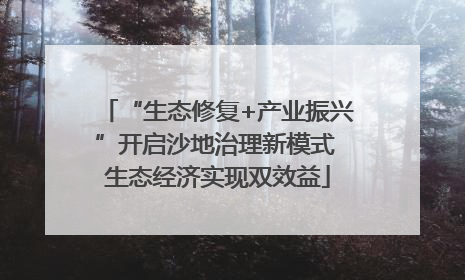 “生态修复+产业振兴”开启沙地治理新模式 生态经济实现双效益
