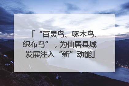 “百灵鸟、啄木鸟、织布鸟”，为仙居县域发展注入“新”动能