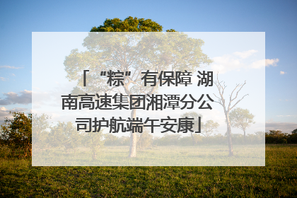 “粽”有保障 湖南高速集团湘潭分公司护航端午安康