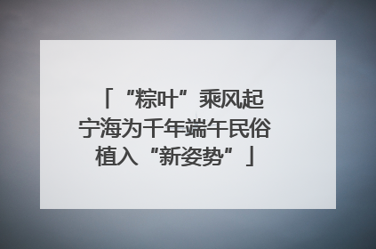 “粽叶”乘风起 宁海为千年端午民俗植入“新姿势”