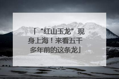 “红山玉龙”现身上海！来看五千多年前的这条龙