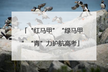 “红马甲”“绿马甲”“青”力护航高考