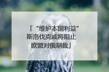 “维护本国利益” 斯洛伐克或将阻止欧盟对俄制裁