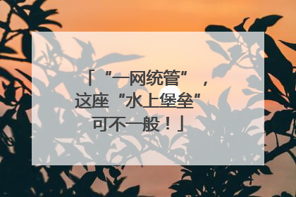 “一网统管”，这座“水上堡垒”可不一般！
