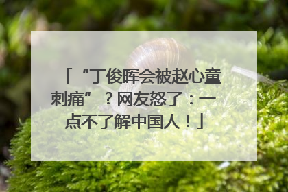“丁俊晖会被赵心童刺痛”？网友怒了：一点不了解中国人！