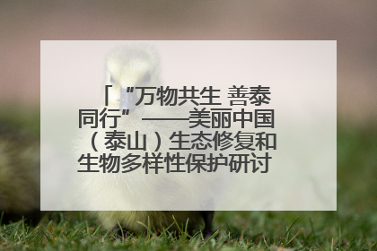 “万物共生 善泰同行”——美丽中国（泰山）生态修复和生物多样性保护研讨会成功举办