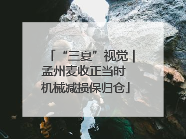 “三夏”视觉｜孟州麦收正当时 机械减损保归仓