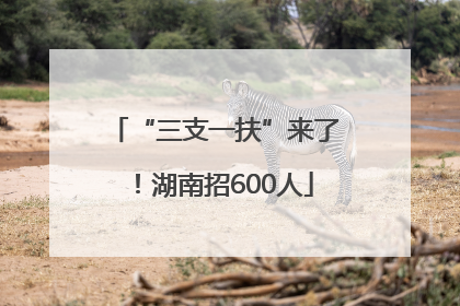 “三支一扶”来了！湖南招600人