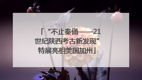 “不止秦俑——21世纪陕西考古新发现”特展亮相美国加州