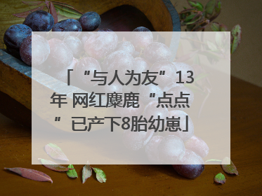 “与人为友”13年 网红麋鹿“点点”已产下8胎幼崽