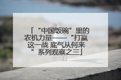 “中国饭碗”里的农机力量——“打赢这一战 底气从何来”系列观察之三