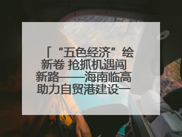 “五色经济”绘新卷 抢抓机遇闯新路——海南临高助力自贸港建设一线见闻