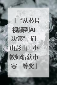 “从芯片视频到AI决策” 眉山彭山一小教师斩获市赛一等奖