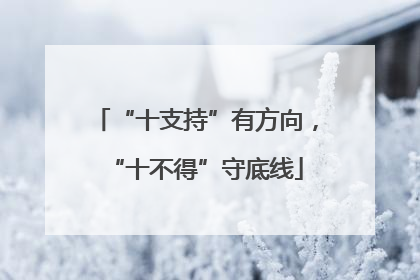“十支持”有方向，“十不得”守底线