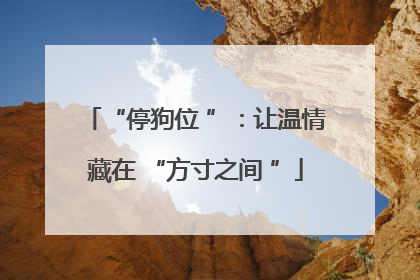 “停狗位 ”：让温情藏在 “方寸之间 ”