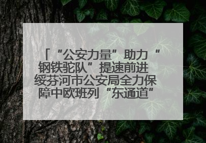 “公安力量”助力“钢铁驼队”提速前进 绥芬河市公安局全力保障中欧班列“东通道”绥芬河隧道贯通