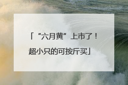 “六月黄”上市了！超小只的可按斤买