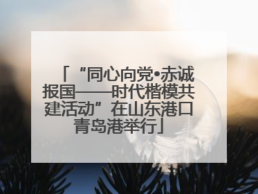 “同心向党•赤诚报国——时代楷模共建活动”在山东港口青岛港举行