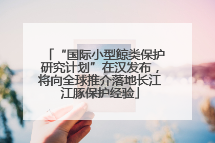 “国际小型鲸类保护研究计划”在汉发布，将向全球推介落地长江江豚保护经验