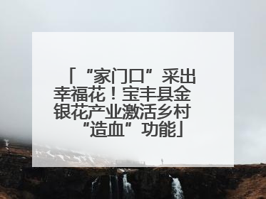 “家门口”采出幸福花！宝丰县金银花产业激活乡村“造血”功能