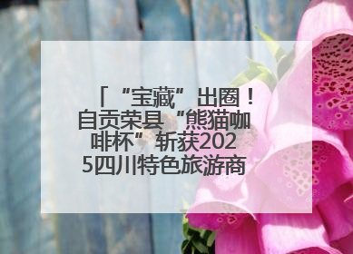 “宝藏”出圈！自贡荣县“熊猫咖啡杯”斩获2025四川特色旅游商品大赛铜奖