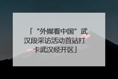 “外媒看中国”武汉段采访活动首站打卡武汉经开区