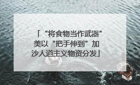 “将食物当作武器” 美以“把手伸到”加沙人道主义物资分发