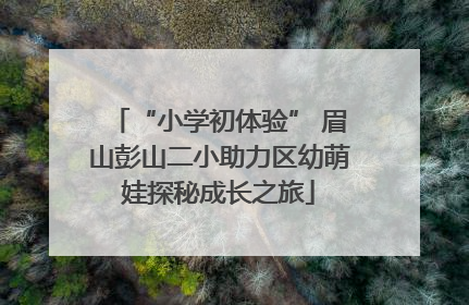 “小学初体验” 眉山彭山二小助力区幼萌娃探秘成长之旅