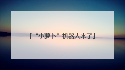 “小萝卜”机器人来了