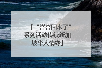 “峇峇回来了”系列活动传续新加坡华人情缘