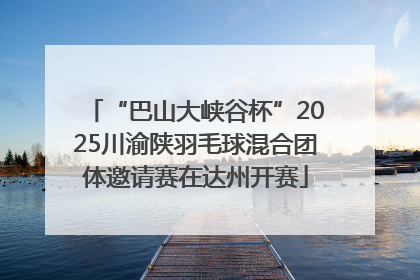 “巴山大峡谷杯”2025川渝陕羽毛球混合团体邀请赛在达州开赛