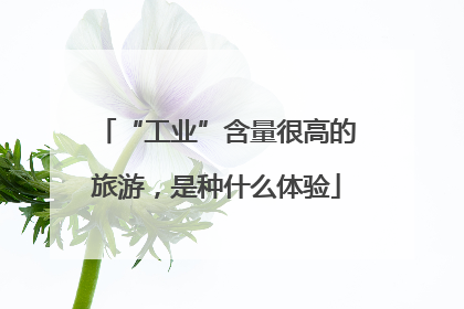 “工业”含量很高的旅游，是种什么体验