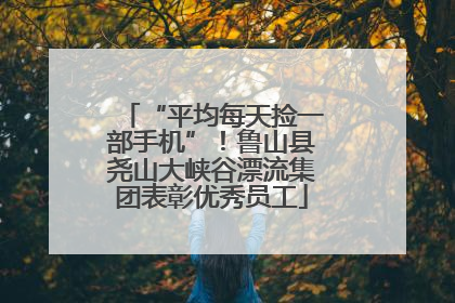“平均每天捡一部手机”！鲁山县尧山大峡谷漂流集团表彰优秀员工