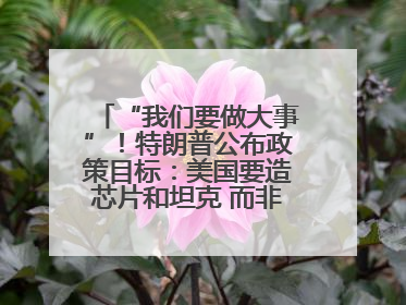 “我们要做大事”！特朗普公布政策目标：美国要造芯片和坦克 而非T恤袜子