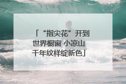 “指尖花”开到世界橱窗 小凉山千年纹样绽新色
