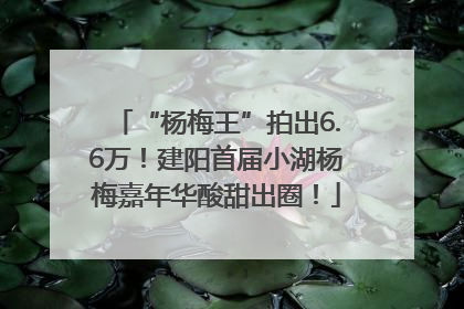 “杨梅王”拍出6.6万！建阳首届小湖杨梅嘉年华酸甜出圈！