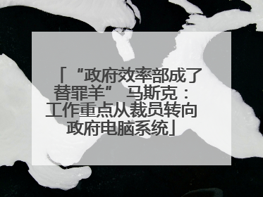 “政府效率部成了替罪羊” 马斯克：工作重点从裁员转向政府电脑系统